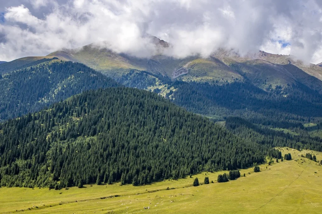 Vacances en famille : savourez la nature tout en vous amusant